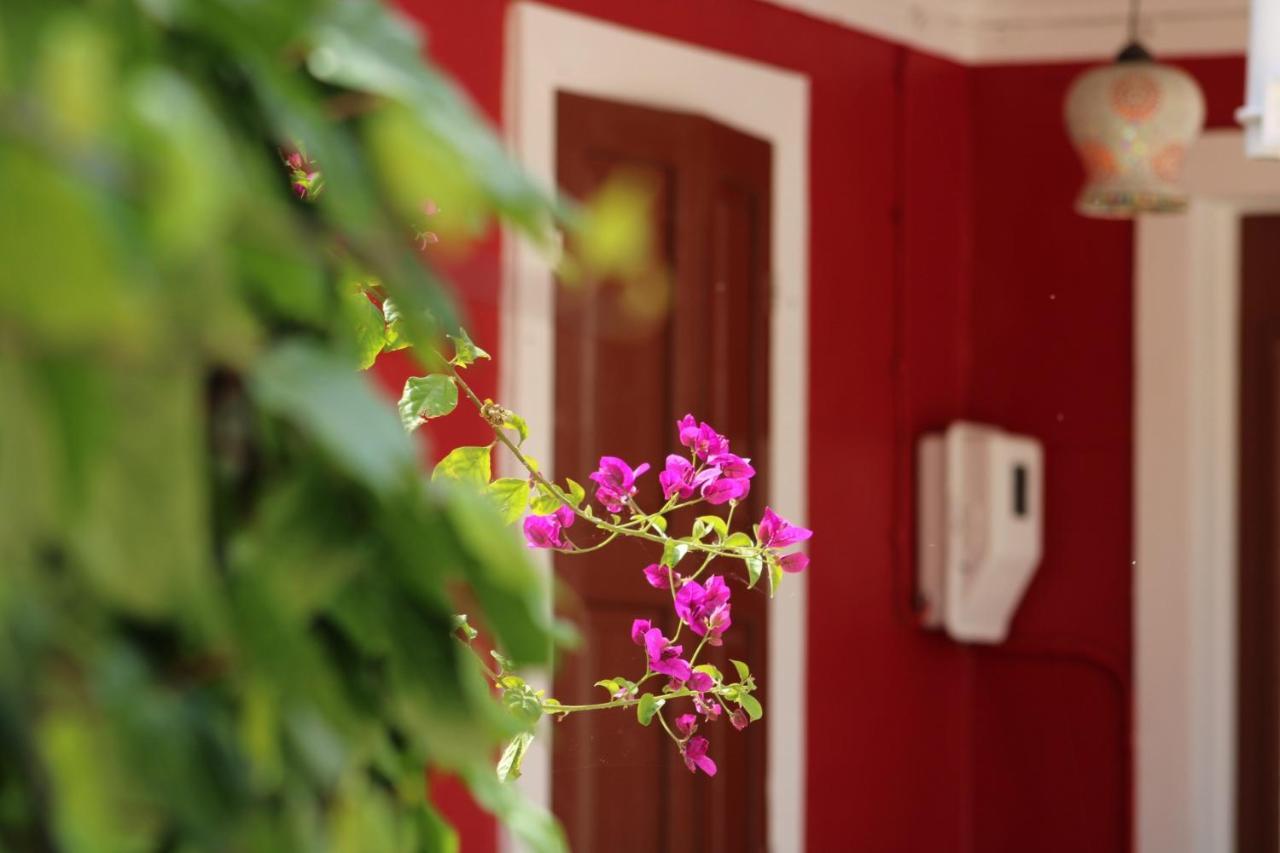 דירות Lefkáda Penelope'S Street Old House מראה חיצוני תמונה